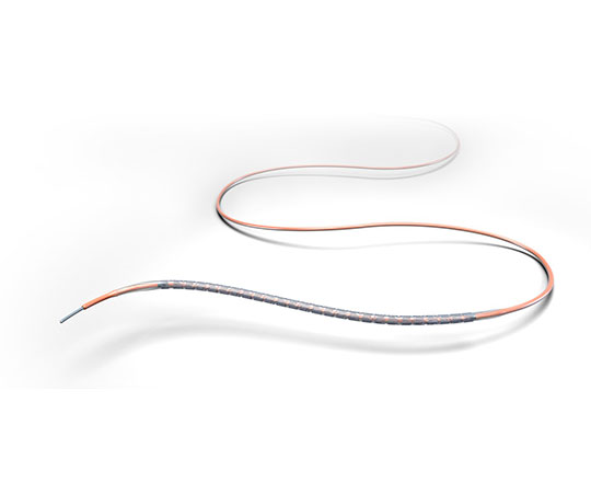 Xience Skypoint stent