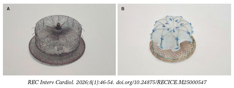 Embolization of left atrial appendage occluders: review of the current ...