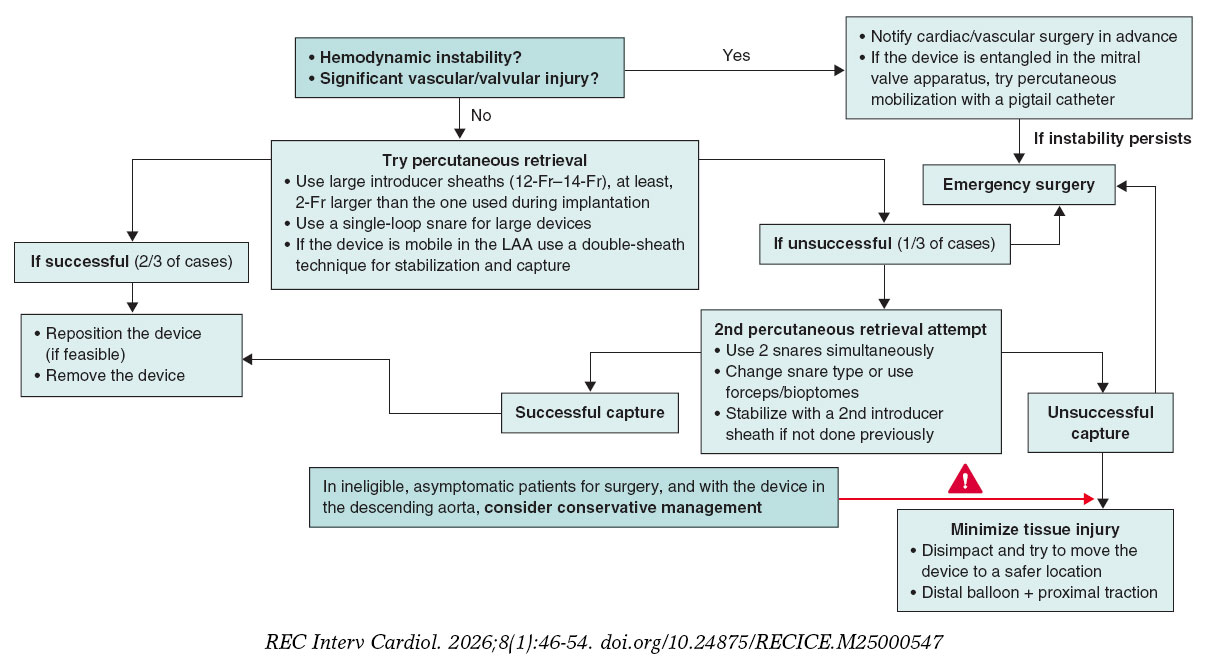 Embolization of left atrial appendage occluders: review of the current ...