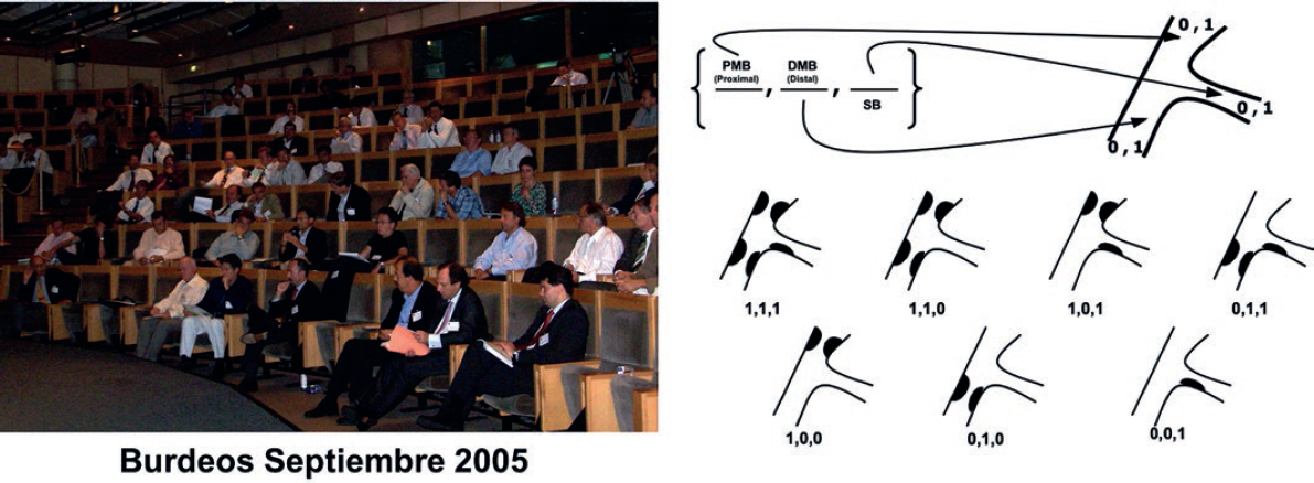 Percutaneous revascularization of coronary bifurcation lesions